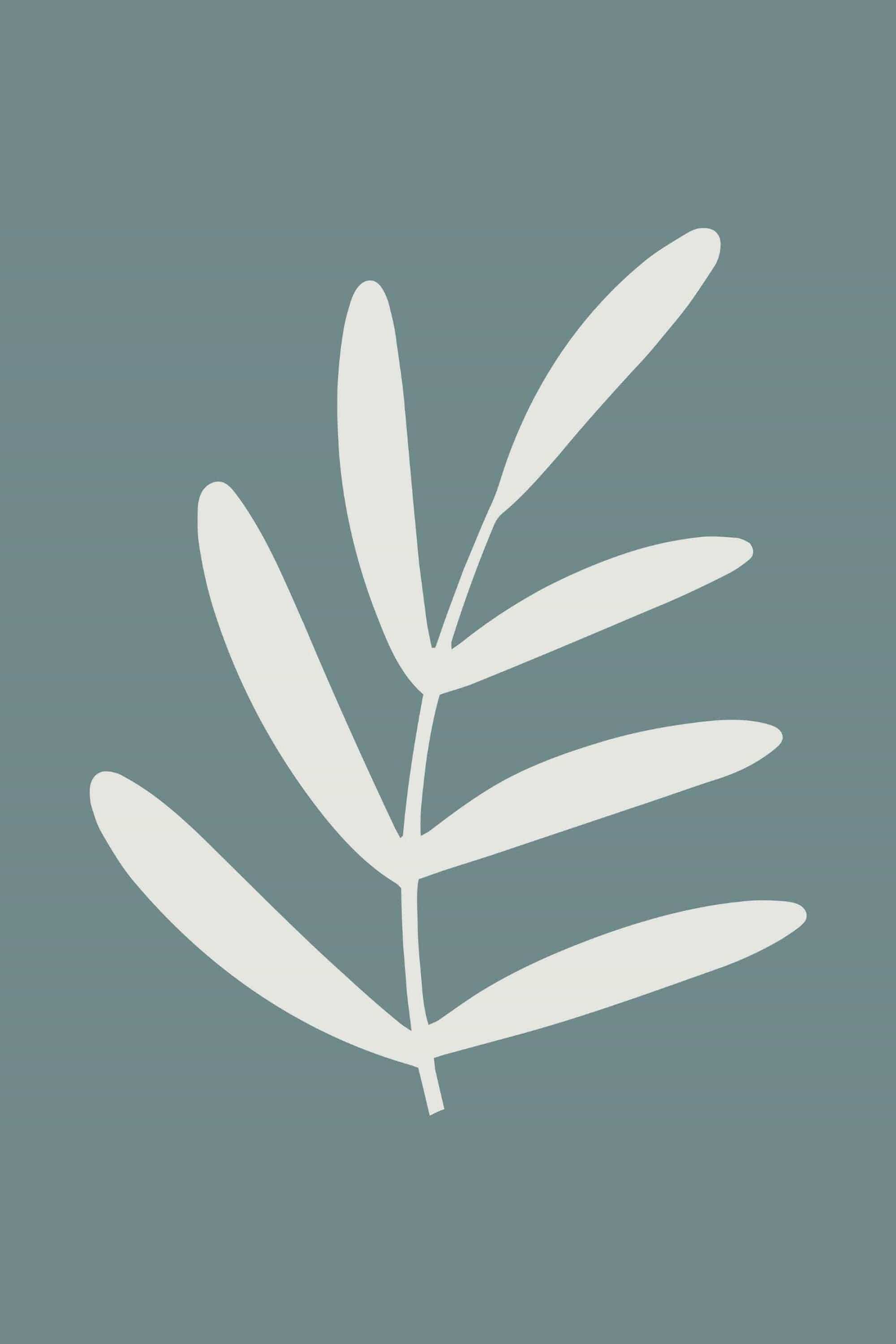 Poster Boho Minimalistisch Modern – Linien, Sterne, Sonne & Blätter · Ästhetische Wanddeko für Wohnzimmer & Schlafzimmer · Kunstdruck ohne Rahmen