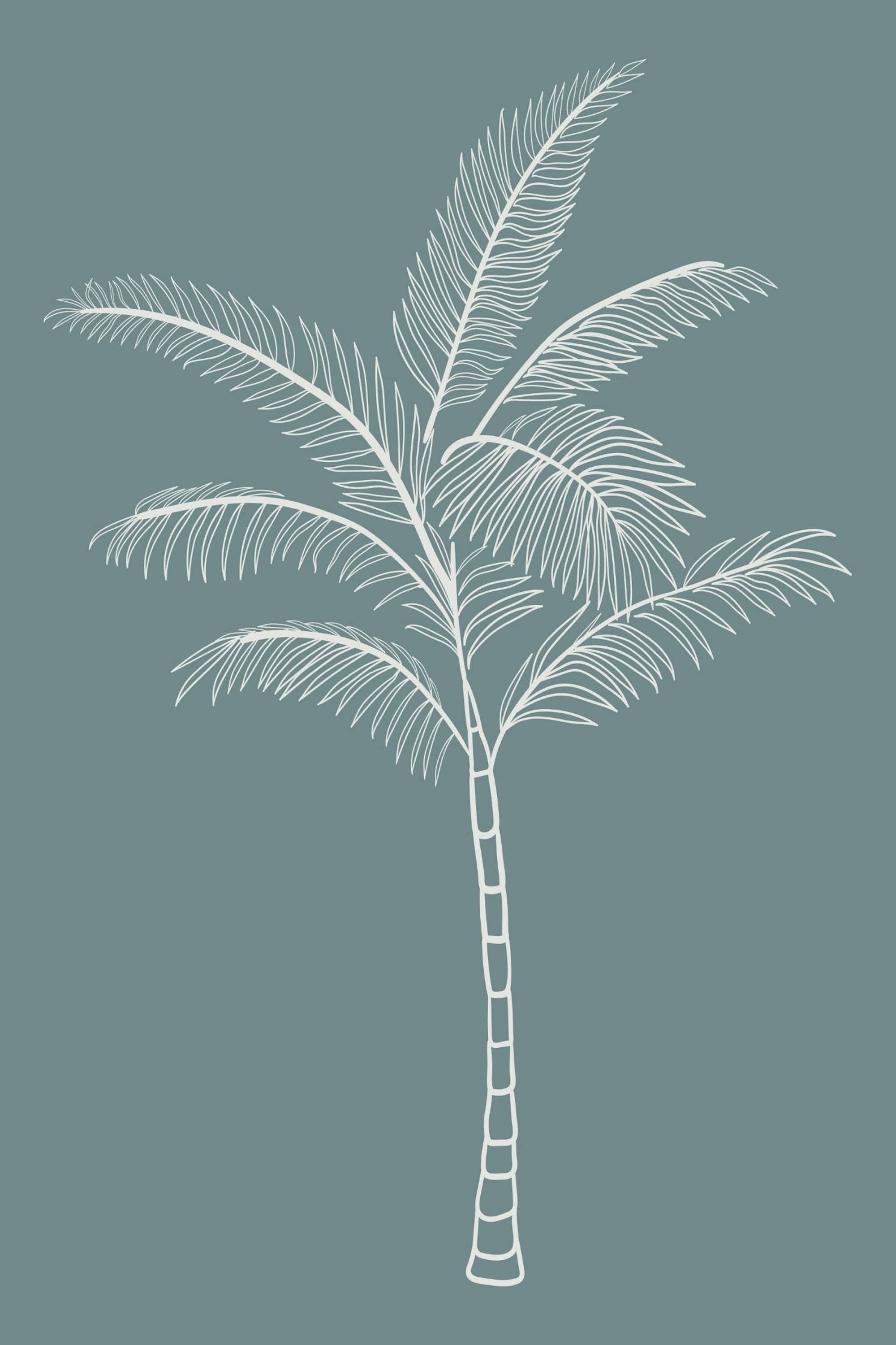 Poster Boho Minimalistisch Modern – Linien, Sterne, Sonne & Blätter · Ästhetische Wanddeko für Wohnzimmer & Schlafzimmer · Kunstdruck ohne Rahmen